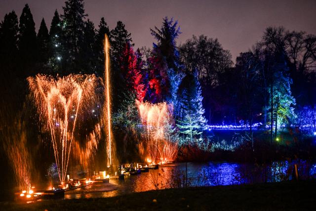 19 November 2024, Berlin: Christmas Garden in Berlin is illuminated. It is open in the Botanical Garden from November 20 to January 12. Photo: Jens Kalaene/dpa