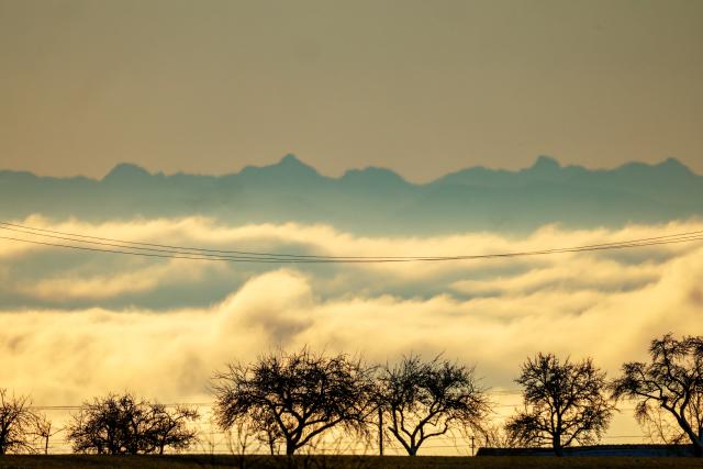 26 December 2024, Baden-Wuerttemberg, Langenenslingen: The view of the Alps from Upper Swabia is covered in dense fog in the morning. Photo: Thomas Warnack/dpa