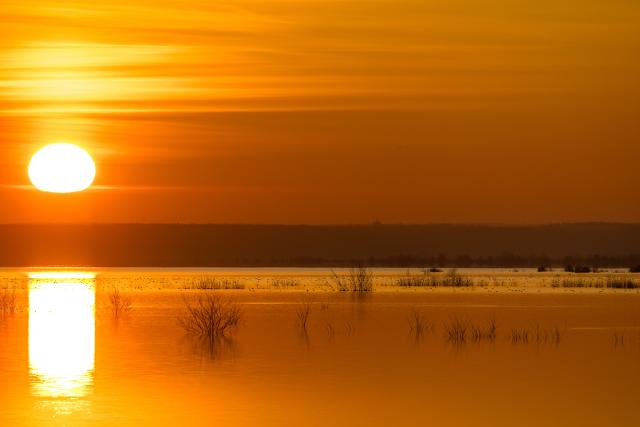 29 December 2024, Brandenburg, Cottbus: The sun rises in a blaze of color after a frosty night over the Baltic Sea in Cottbus. Photo: Frank Hammerschmidt/dpa