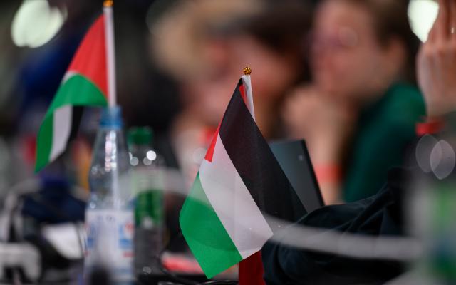 10 May 2025, Saxony, Chemnitz: Palestine flags stand on the table of delegates at Die Linke (The Left) party conference in Chemnitz. After two days, the party conference ends with the discussion of various motions. Photo: Hendrik Schmidt/dpa