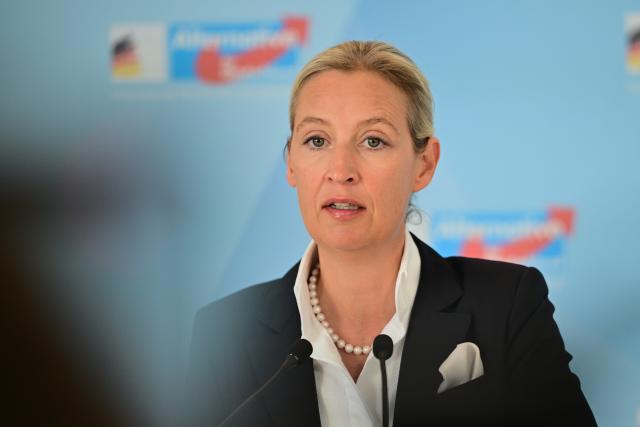 13 May 2025, Berlin: Alice Weidel, leader of the Alternative for Germany (AfD) parliamentary group in the German Bundestag, speaks to the media ahead of parliamentary group meetings. Photo: Sebastian Christoph Gollnow/dpa