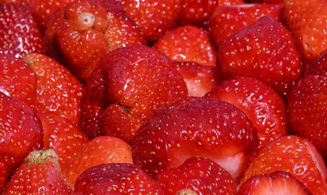 FILED - 06 May 2025, Thuringia, Gebesee: Fresh strawberries on a plate at Erdbeerhof Gebesee GmbH. Strawberries are by far the most preferred fruit among Germans. According to a YouGov poll commissioned by the German news agency (dpa), 79% of Germans consider strawberries their favorite fruit, compared to 58% for apples, 53% for berries, and 50% for cherries. Photo: Martin Schutt/dpa