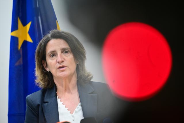 19 May 2025, Berlin: Teresa Ribera, Commissioner for Competition of the European Union, speaks during a joint press statement with German Minister for Economic Affairs Katherina Reiche. Photo: Sebastian Christoph Gollnow/dpa