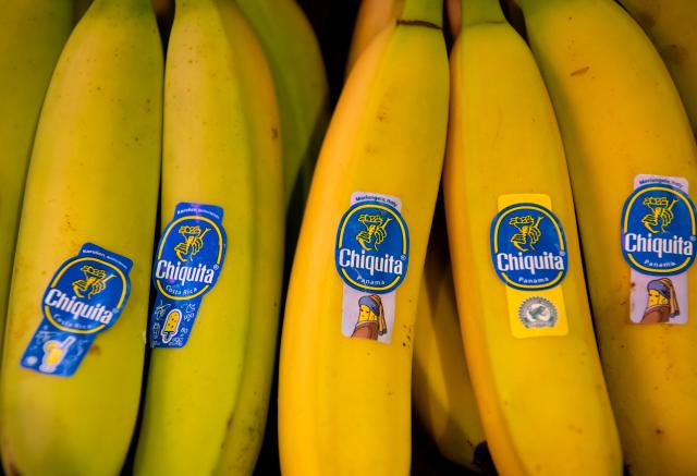 FILED - 13 March 2020, Bavaria, Neubiberg: Chiquita bananas are seen on a supermarket shelf. Chiquita announced it would lay off thousands of workers in Panama, following what it called "unjustified abandonment of work" on its farms and operations centres since the end of April. Photo: Sven Hoppe/dpa
