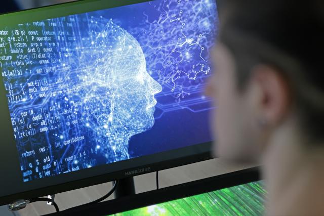 FILED - 28 February 2025, Saxony-Anhalt, Wernigerode: A person looks at a computer screen in Wernigerode. Photo: Matthias Bein/dpa