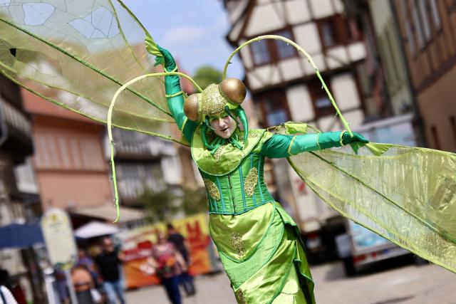 01 June 2025, Saxony-Anhalt, Quedlinburg: Fantasy figures parade through the city on the traditional World Heritage Day. Photo: Matthias Bein/dpa