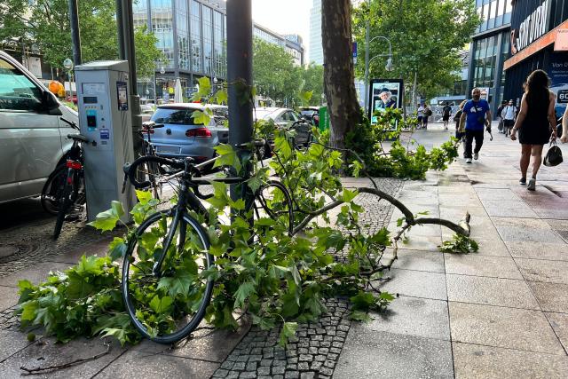 26 June 2025, Berlin: A fallen branch lies on Tauentzienstraße near Berlin Zoo station after strong gusts of wind hit the area. Photo: Niklas Graeber/dpa