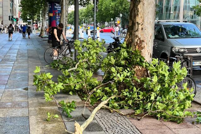 26 June 2025, Berlin: A fallen branch lies on Tauentzienstrasse near the Berlin Zoo train station after strong gusts of wind swept through the area. Photo: Niklas Graeber/dpa