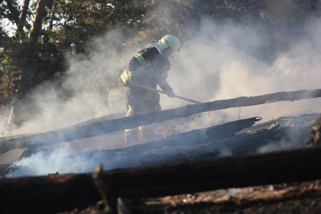 01 July 2025, Saxony-Anhalt, Thale: Firefighters work to extinguish a fire are in the Harz Mountains near Thale. Around 150 emergency services from Thale and the Harz region are currently on site to extinguish the fire, according to the integrated control center in the Harz district. Photo: Matthias Bein/dpa