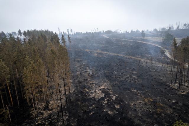 03 July 2025, Thuringia, Reichmannsdorf: An aerial view taken with a drone shows a burnt forest on the Saalfelder Höhe in Thuringia. A disaster alert was issued due to the forest fire in the Saalfeld-Rudolstadt district. The extinguishing work continues. Photo: Jacob Schröter/dpa