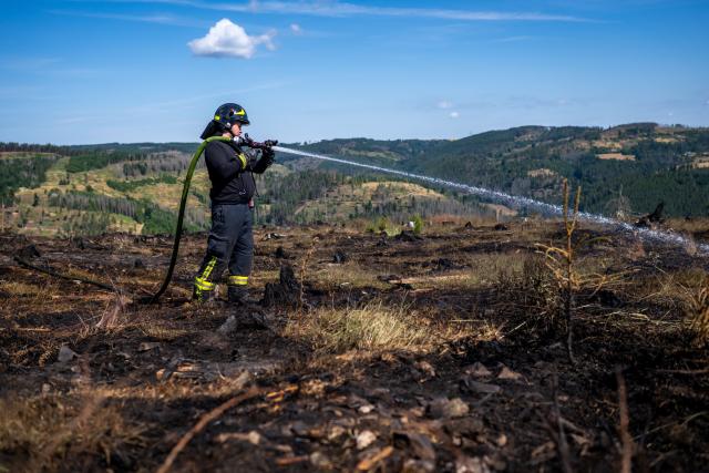 04 July 2025, Thuringia, Goesseldorf: Firefighters put down the fire that erupted in Goesseldorf. On July 2nd, 2025 a fire broke out in the district of Goesselsdorf for unknown reasons and eventually spread to an area of at least 250 hectares. The fire is considered the largest known forest fire in Thuringia for more than 30 years. Photo: Jacob Schröter/dpa