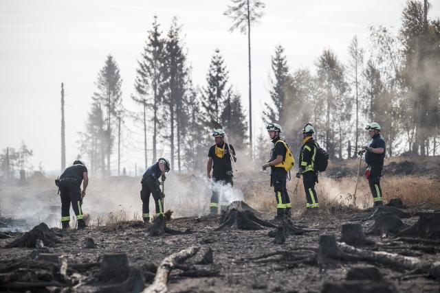 05 July 2025, Thuringia, Reichmannsdorf: Firefighters search for and extinguish pockets of embers while battling the forest fire on the Saalfelder Hoehe. Photo: Daniel Vogl/dpa