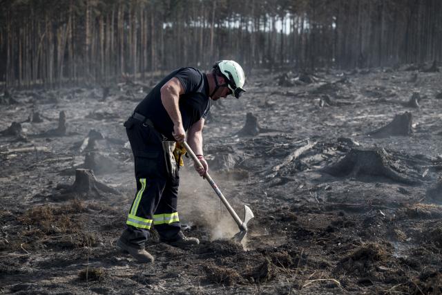05 July 2025, Thuringia, Reichmannsdorf: A fire department searches for pockets of embers and digs them out at the forest fire on the Saalfelder Hoehe. Photo: Daniel Vogl/dpa