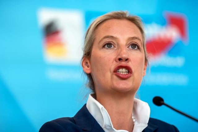FILED - 20 May 2025, Berlin: Alice Weidel, Parliamentary group leader of the Alternative for Germany (AfD) party, gives a press statement before the start of the Bundestag parliamentary group meetings. Photo: Michael Kappeler/dpa