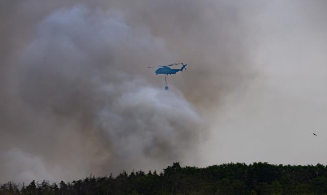 06 July 2025, Saxony, Jacobsthal: A Bundeswehr fire-fighting helicopter flies to the forest fire in Gohrischheide. The forest area between Saxony and Brandenburg has been burning for several days. Photo: Robert Michael/dpa
