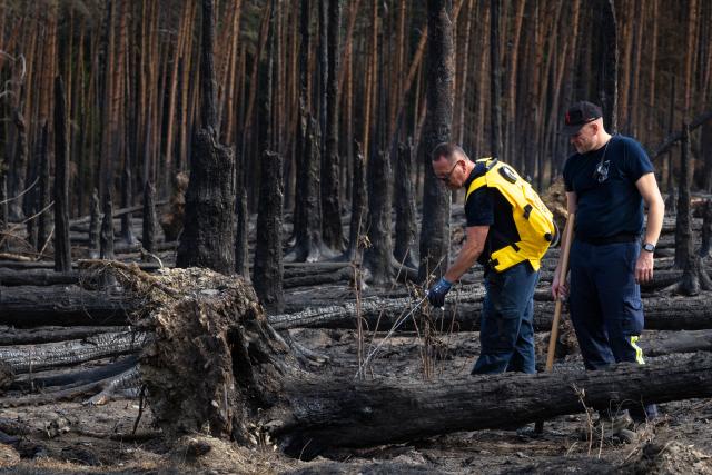06 July 2025, Thuringia, Reichmannsdorf: Firefighters fight hidden pockets of embers in the forest fire on the Saalfelder Hoehe. Photo: Michael Reichel/dpa