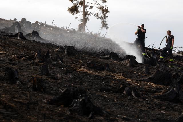 06 July 2025, Thuringia, Reichmannsdorf: Firefighters fight hidden pockets of embers in the forest fire on the Saalfelder Hoehe. Photo: Michael Reichel/dpa
