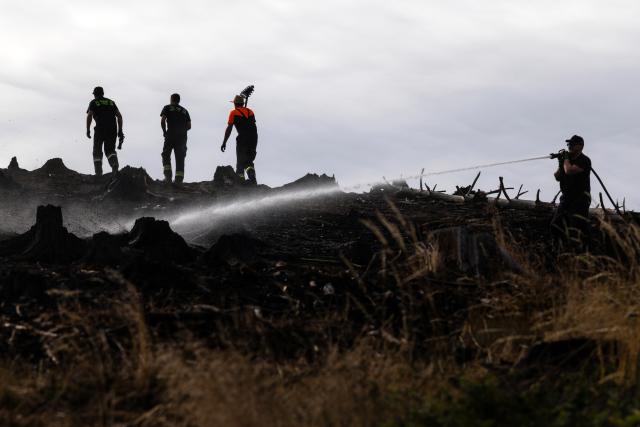 06 July 2025, Thuringia, Reichmannsdorf: Firefighters fight hidden pockets of embers in the forest fire on the Saalfelder Hoehe. Photo: Michael Reichel/dpa