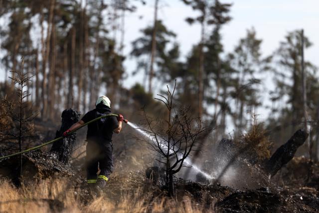 06 July 2025, Thuringia, Reichmannsdorf: A firefighter fights hidden embers in the forest fire on the Saalfelder Hoehe. Photo: Michael Reichel/dpa