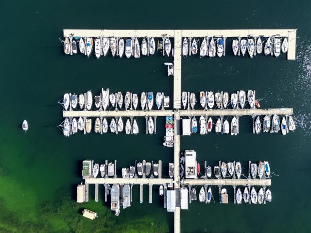 13 August 2025, Saxony-Anhalt, Muecheln: Sailboats, motorboats and other watercraft are moored in the Muecheln marina on Lake Geiseltal. Temperatures are expected to rise to over 30 degrees Celsius daily until the end of the week. Photo: Jan Woitas/dpa