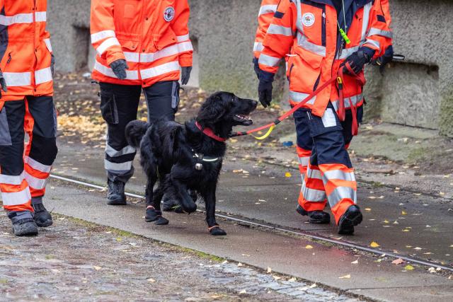 12 October 2025, Mecklenburg-Western Pomerania, Guestrow: A dog from a rescue dog team walks through the grounds with its owner during the search operation for an eight-year-old boy, who left his mother's house on Friday with permission. Photo: Stefan Sauer/dpa
