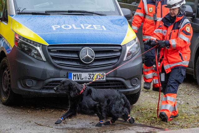 12 October 2025, Mecklenburg-Western Pomerania, Guestrow: A dog from a rescue dog team walks through the grounds with its owner during the search operation for an eight-year-old boy, who left his mother's house on Friday with permission. Photo: Stefan Sauer/dpa