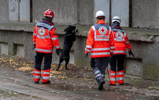 12 October 2025, Mecklenburg-Western Pomerania, Guestrow: A dog from a rescue dog team walks through the grounds with its owner during the search operation for an eight-year-old boy, who left his mother's house on Friday with permission. Photo: Stefan Sauer/dpa
