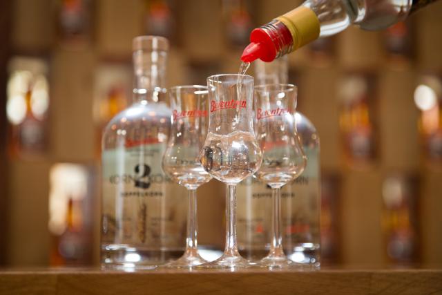 FILED - 17 October 2017, Lower Saxony, Haseluenne: Korn is filled into glasses in a store at the headquarters of spirits manufacturer Berentzen. The World Health Organization (WHO) is calling for decisive political measures against alcohol to combat tens of thousands of cancer cases in Europe, it said in a statement on Tuesday. Photo: Friso Gentsch/dpa