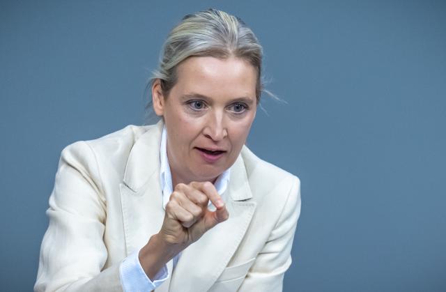 16 October 2025, Berlin: Alice Weidel, federal leader and parliamentary group leader of the AfD, speaks in the Bundestag after the government statement on the EU summit. Among other things, parliament deals with pension laws and the Military Service Modernization Act. Photo: Michael Kappeler/dpa