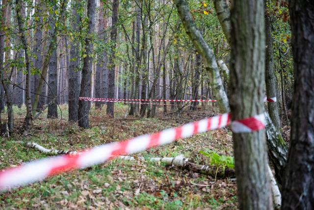 22 October 2025, Brandenburg, Ragow-Merz: A wooded area is cordoned off with police tape. Police searched the area the day before for evidence in the case of Rebecca from Berlin-Neukoelln, who has been missing for more than six years. The search is connected to previous searches of a property where evidence was sought on suspicion of homicide. Photo: Christophe Gateau/dpa