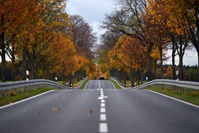 24 October 2025, Brandenburg, ---: A car drives through an autumn-colored avenue. Photo: Lilli Förter/dpa