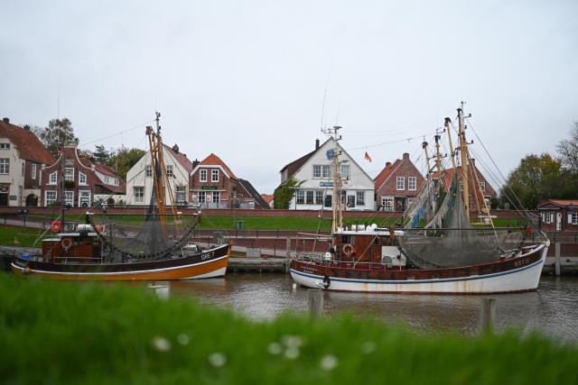 25 October 2025, Greetsiel: Numerous cutters are still in the harbor after the storm "Joshua" and are waiting for the wind to calm down. Photo: Lars Penning/dpa