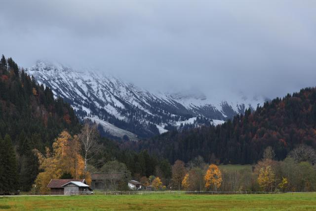 26 October 2025, Bavaria, Bad Hindelang: Autumn-colored trees stand in front of snow-covered mountains in the Unterjoch district. Photo: Karl-Josef Hildenbrand/dpa