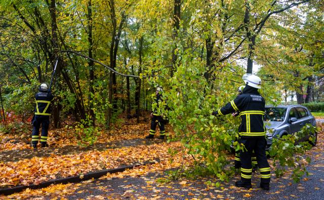 26 October 2025, Hamburg: Firefighters saw off a snapped branch from a tree in the Lohbruegge district after heavy rain. Photo: Daniel Bockwoldt/dpa