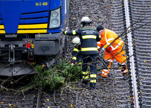 27 October 2025, Bavaria, Munich: Emergency services remove a tree from under a locomotive. The regional train has run into a fallen tree. Photo: Sven Hoppe/dpa