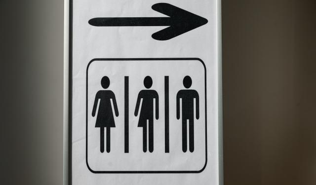 FILED - 29 January 2025, Berlin: A sign points the way to unisex toilets. Photo: Hannes P Albert/dpa