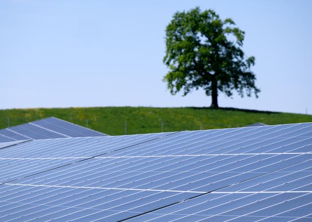 FILED - 02 May 2025, Bavaria, Muensing: The sun shines on a solar park in a field near the A95 highway in Bavaria. Photo: Sven Hoppe/dpa