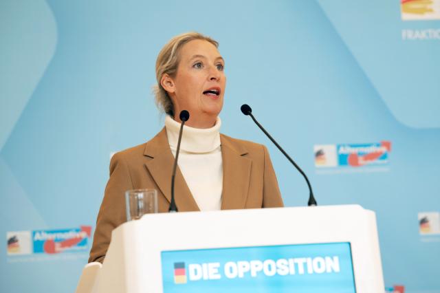 04 November 2025, Berlin: Parliamentary group and federal chair of the Alternative for Germany (AfD) Alice Weidel gives a statement before the parliamentary group meeting. Photo: Alicia Windzio/dpa