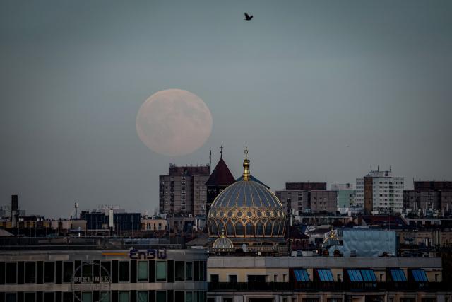 05 November 2025, Berlin: The full moon rises over Berlin in the late afternoon. Photo: Kay Nietfeld/dpa