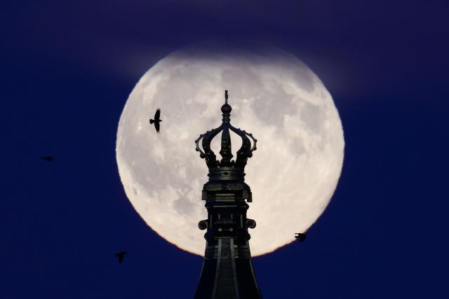 05 November 2025, Saxony, Dresden: The full moon rises behind the State Chancellery in the afternoon. Photo: Robert Michael/dpa