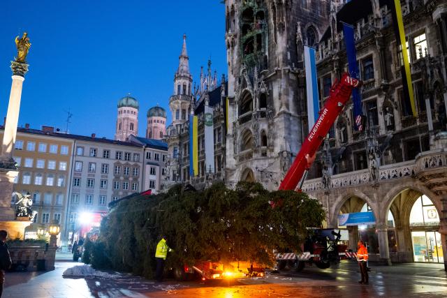 06 November 2025, Bavaria, Munich: Workers prepare to erect a Christmas tree on Marienplatz. The 75-year-old, 25-metre-high spruce from Ellmau, Austria, weighing around 3.5 tons, is lifted into place using a fire department crane. Photo: Lennart Preiss/dpa