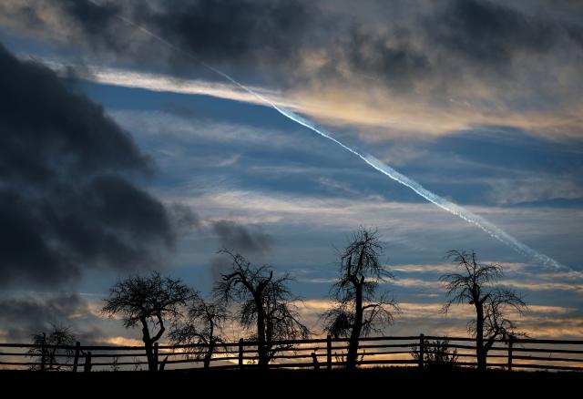 10 November 2025, Bavaria, Volkach: Bare fruit trees stand at the edge of a pasture under a partly cloudy sky in the evening light. Photo: Karl-Josef Hildenbrand/dpa