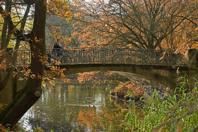 10 November 2025, Saxony, Leipzig: A person rides a bicycle over a bridge in the Palmengarten in Leipzig. Photo: Jennifer Brückner/dpa