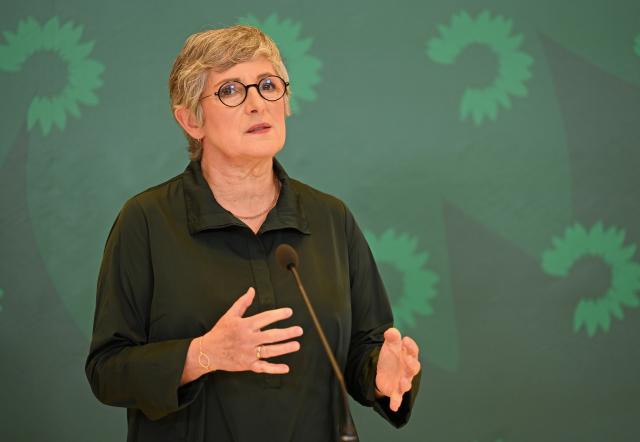 11 November 2025, Berlin: Britta Hasselmann, parliamentary group leader of Alliance90/The Greens, gives a press statement before the start of her party's parliamentary group meeting. Photo: Elisa Schu/dpa