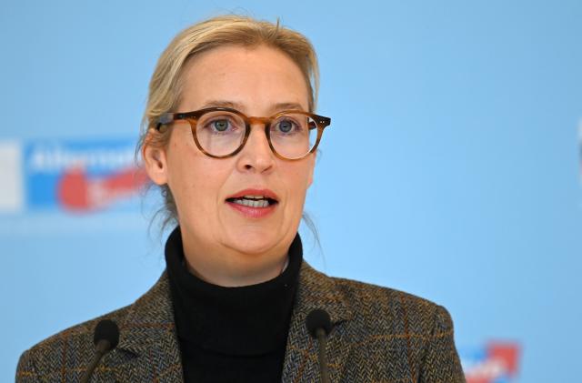 11 November 2025, Berlin: Alternative for Germany (AfD) parliamentary group leader Alice Weidel speaks during a press statement before the start of her party's parliamentary group meeting at the German Bundestag. Photo: Elisa Schu/dpa