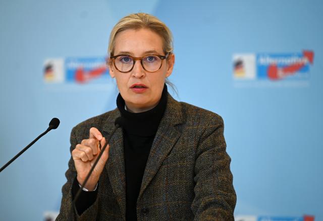 11 November 2025, Berlin: Alternative for Germany (AfD) parliamentary group leader Alice Weidel speaks during a press statement before the start of her party's parliamentary group meeting at the German Bundestag. Photo: Elisa Schu/dpa