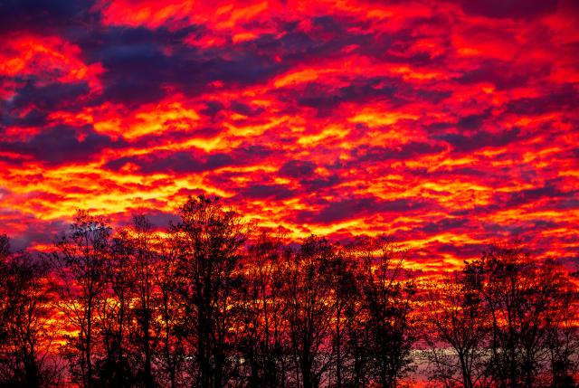 12 November 2025, Mecklenburg-Western Pomerania, Pokrent: The rising sun colors the morning sky behind a row of trees orange-red. Meteorologists are predicting milder temperatures and cloudy skies for the coming days. Photo: Jens Büttner/dpa