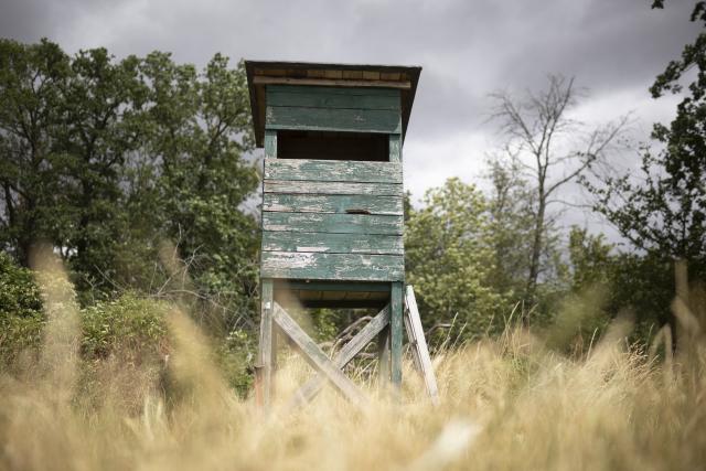 FILED - 03 July 2023, Rheinland-Pfalz, Mainz: A hunting blind stands at the edge of a forest in Mainz. Photo: Tim Würz/dpa