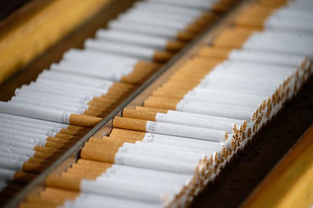 FILED - 25 August 2020, North Rhine-Westphalia, Cologne: Cigarettes manufactured in an illegal factory near Kleve. Photo: Henning Kaiser/dpa