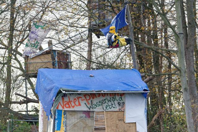18 November 2025, North Rhine-Westphalia, Kerpen: An activist hangs in a tree in the so-called "Suendenwaeldchen" on the edge of the Hambach open-cast mine in Hambach Forest. The police have begun a large-scale operation to clear the last piece of forest occupied by activists at the Hambach open-cast lignite mine in the Rhineland. Photo: Henning Kaiser/dpa